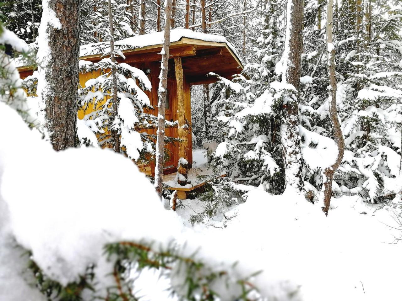 Camping Lechtal Vorderhornbach Exterior foto